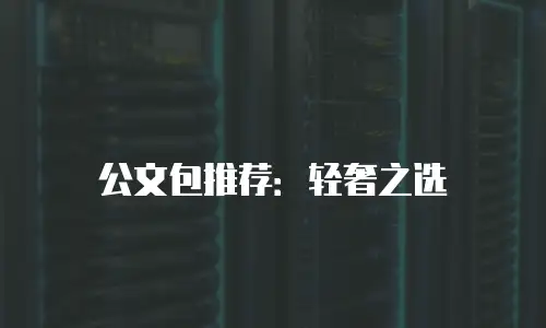 公文包推荐：轻奢之选