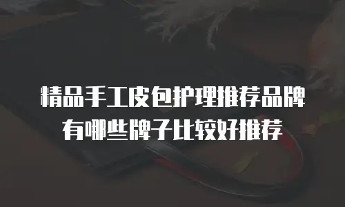 精品手工皮包护理推荐品牌有哪些牌子比较好推荐