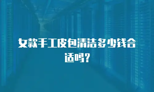 女款手工皮包清洁多少钱合适吗？