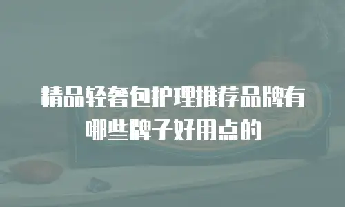 精品轻奢包护理推荐品牌有哪些牌子好用点的
