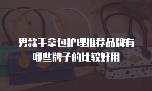 男款手拿包护理推荐品牌有哪些牌子的比较好用
