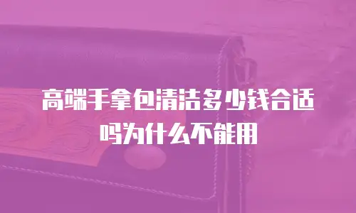 高端手拿包清洁多少钱合适吗为什么不能用