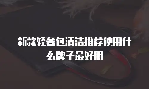 新款轻奢包清洁推荐使用什么牌子最好用
