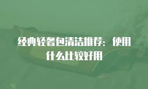 经典轻奢包清洁推荐：使用什么比较好用