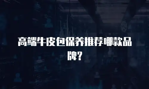 高端牛皮包保养推荐哪款品牌？