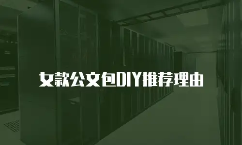 女款公文包DIY推荐理由