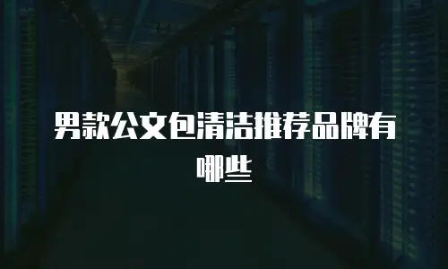 男款公文包清洁推荐品牌有哪些