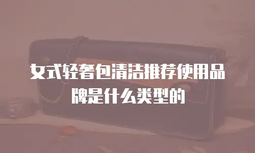 女式轻奢包清洁推荐使用品牌是什么类型的