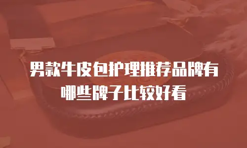 男款牛皮包护理推荐品牌有哪些牌子比较好看
