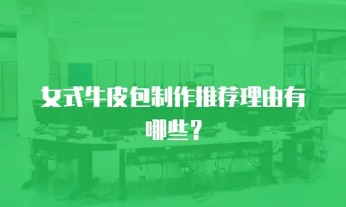 女式牛皮包制作推荐理由有哪些？