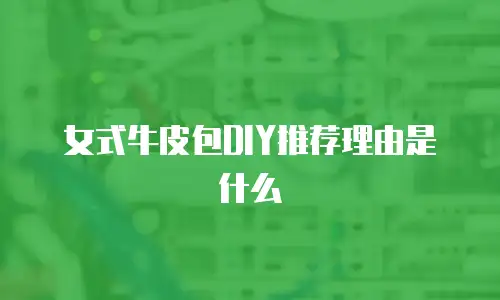 女式牛皮包DIY推荐理由是什么