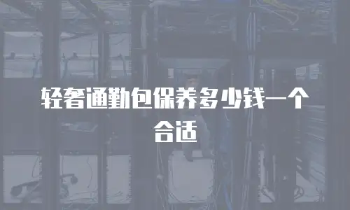 轻奢通勤包保养多少钱一个合适