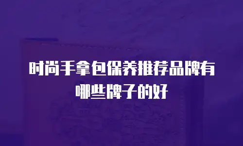 时尚手拿包保养推荐品牌有哪些牌子的好