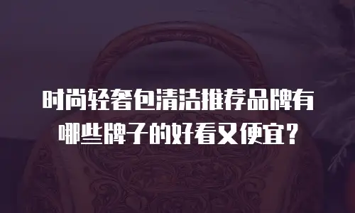时尚轻奢包清洁推荐品牌有哪些牌子的好看又便宜？