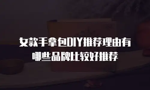 女款手拿包DIY推荐理由有哪些品牌比较好推荐