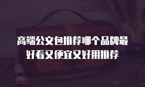 高端公文包推荐哪个品牌最好看又便宜又好用推荐