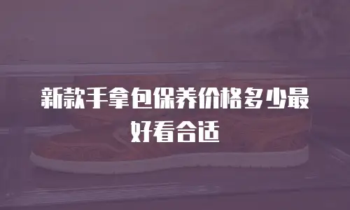 新款手拿包保养价格多少最好看合适