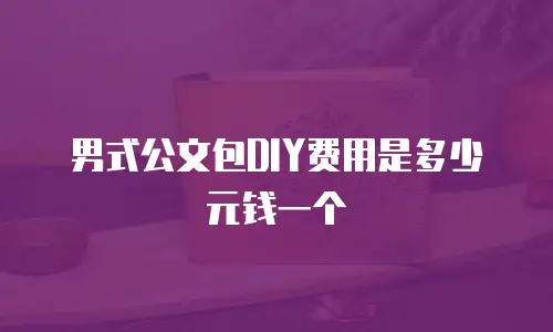 男式公文包DIY费用是多少元钱一个