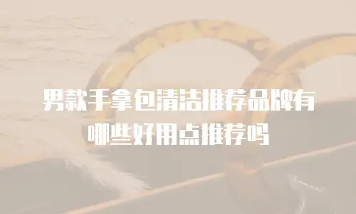 男款手拿包清洁推荐品牌有哪些好用点推荐吗