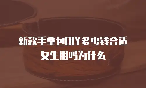 新款手拿包DIY多少钱合适女生用吗为什么