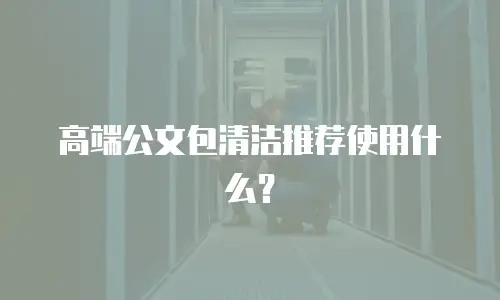 高端公文包清洁推荐使用什么？