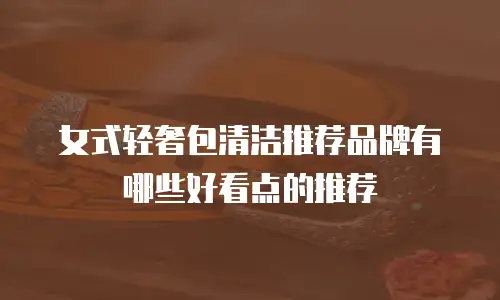 女式轻奢包清洁推荐品牌有哪些好看点的推荐