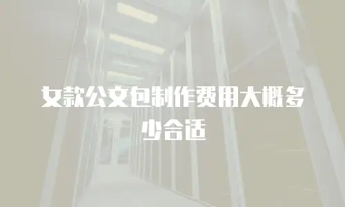 女款公文包制作费用大概多少合适