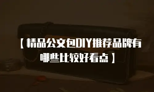 【精品公文包DIY推荐品牌有哪些比较好看点】