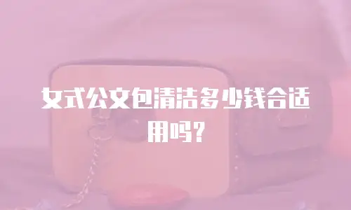 女式公文包清洁多少钱合适用吗？