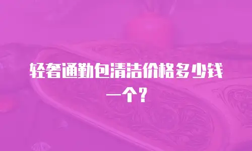 轻奢通勤包清洁价格多少钱一个？