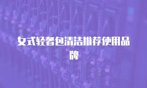 女式轻奢包清洁推荐使用品牌