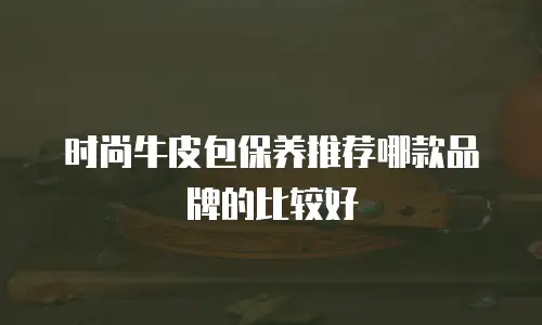 时尚牛皮包保养推荐哪款品牌的比较好