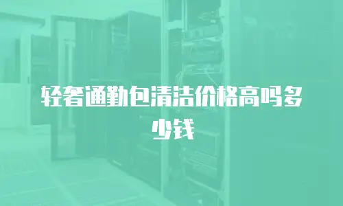 轻奢通勤包清洁价格高吗多少钱