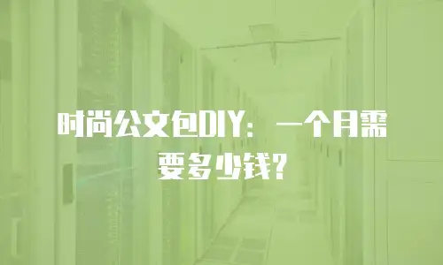 时尚公文包DIY：一个月需要多少钱？