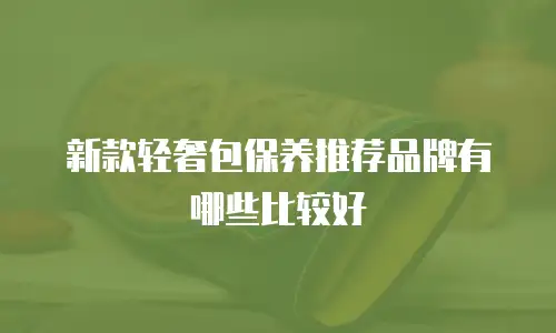 新款轻奢包保养推荐品牌有哪些比较好