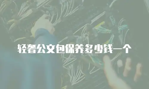 轻奢公文包保养多少钱一个