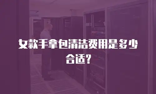 女款手拿包清洁费用是多少合适？