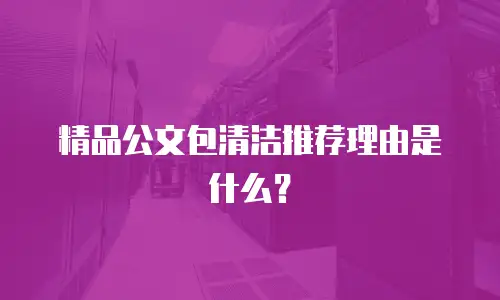 精品公文包清洁推荐理由是什么？