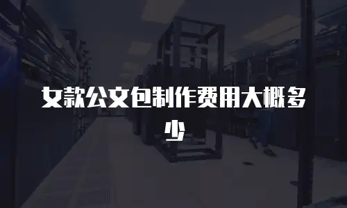 女款公文包制作费用大概多少