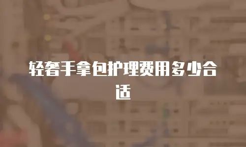 轻奢手拿包护理费用多少合适