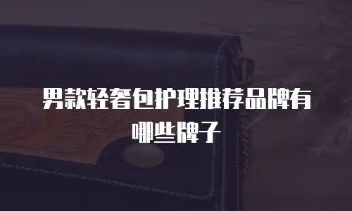 男款轻奢包护理推荐品牌有哪些牌子