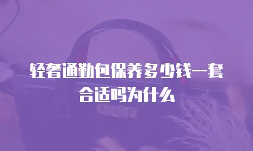 轻奢通勤包保养多少钱一套合适吗为什么
