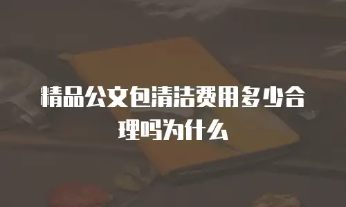 精品公文包清洁费用多少合理吗为什么