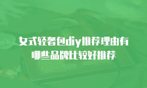 女式轻奢包diy推荐理由有哪些品牌比较好推荐