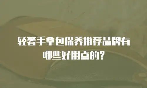 轻奢手拿包保养推荐品牌有哪些好用点的？