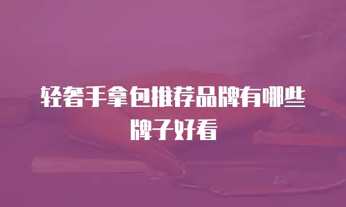 轻奢手拿包推荐品牌有哪些牌子好看