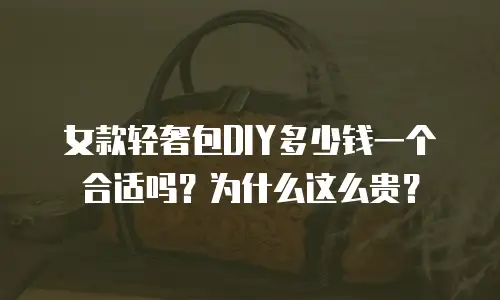 女款轻奢包DIY多少钱一个合适吗？为什么这么贵？