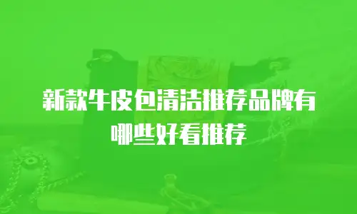 新款牛皮包清洁推荐品牌有哪些好看推荐