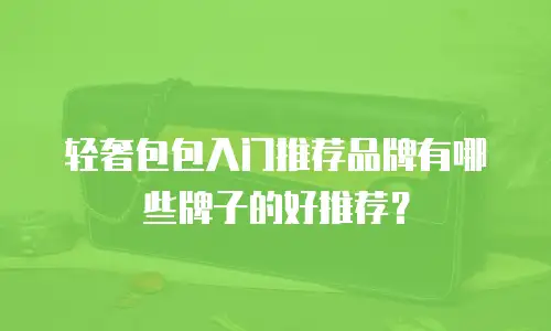 轻奢包包入门推荐品牌有哪些牌子的好推荐？