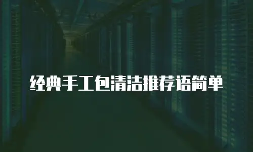 经典手工包清洁推荐语简单
